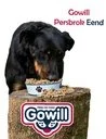 Gowill Persbrok Eend